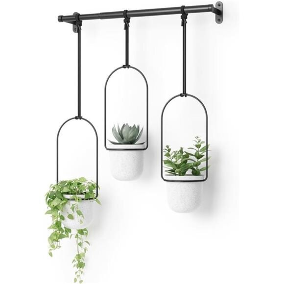 Hanging Planter for Window, Indoor Herb Garden, Set of 3 - Picture 7 of 7